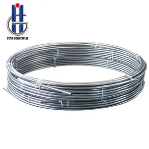 Stainless steel spiral tube