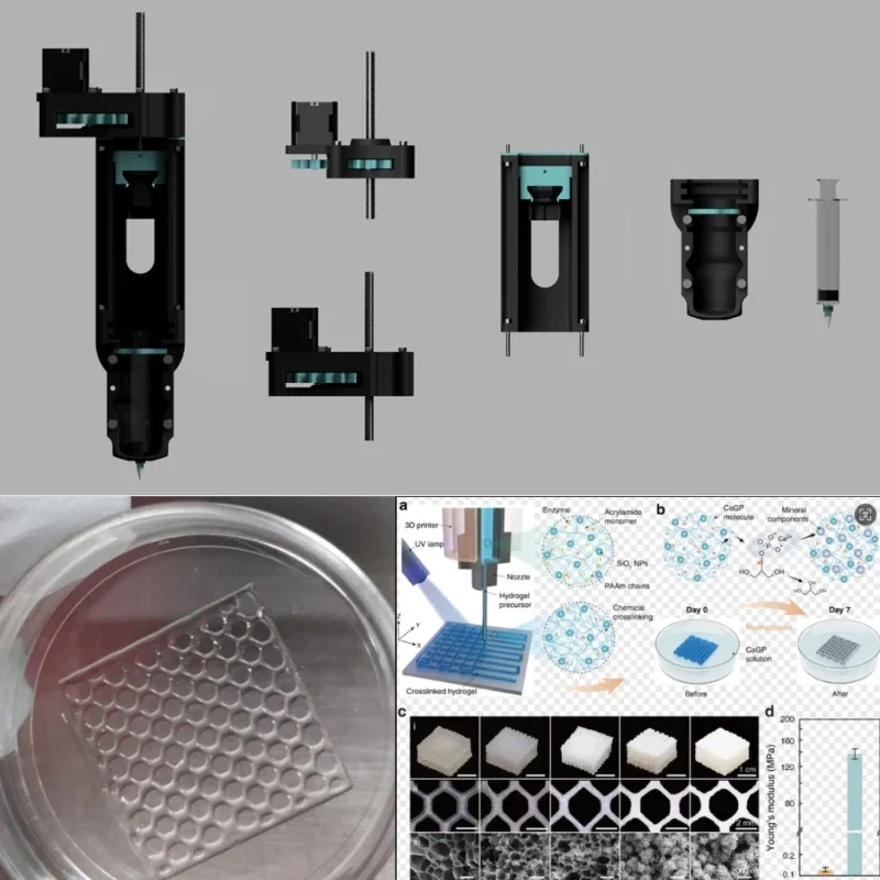 Bio 3D printer DIY bioprinter extruder kit