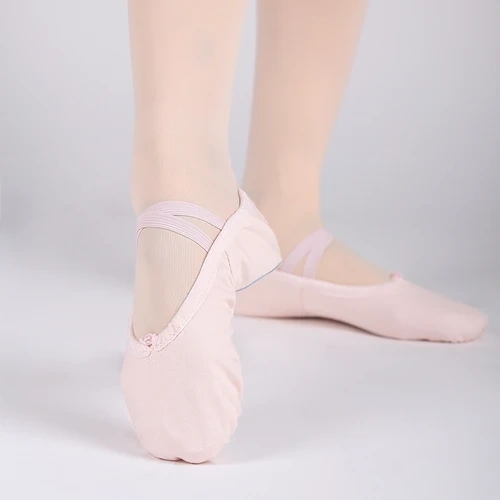 Canvas Ballet Shoes (Multi-color)