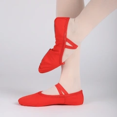 Canvas Ballet Shoes (Multi-color)