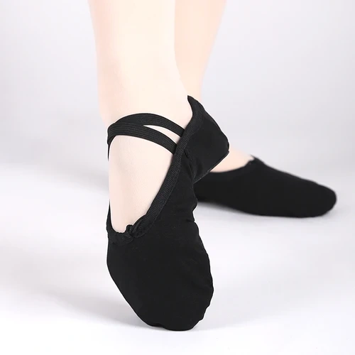 Canvas Ballet Shoes (Multi-color)