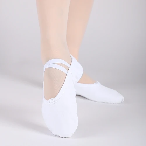 Canvas Ballet Shoes (Multi-color)
