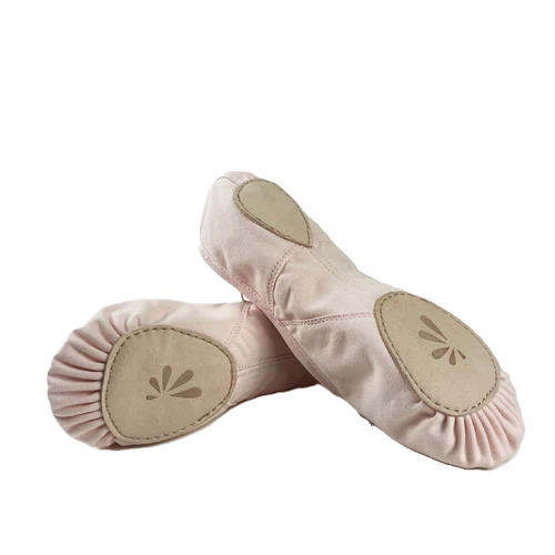 Canvas Ballet Shoe