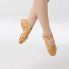 Canvas Ballet Shoe