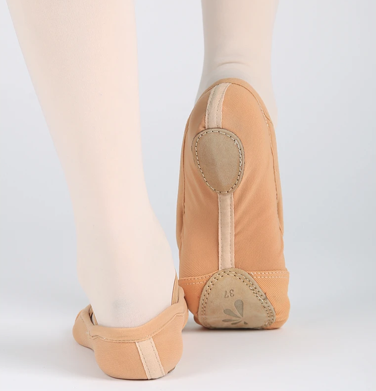 Mesh With Canvas Ballet Shoe
