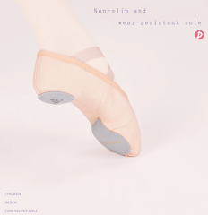 Split Sole Stretch Canvas Ballet Shoe