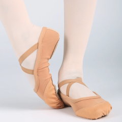 Mesh With Canvas Ballet Shoe
