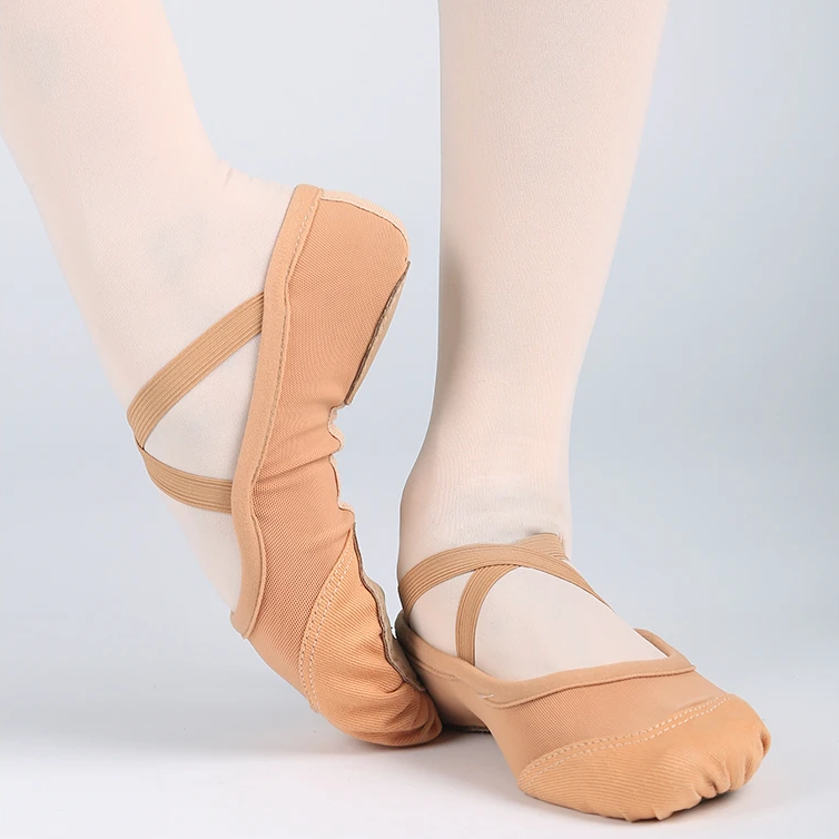 Mesh With Canvas Ballet Shoe
