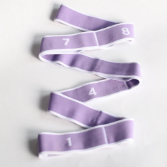 Elastic Stretch Band