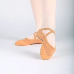 Mesh With Canvas Ballet Shoe