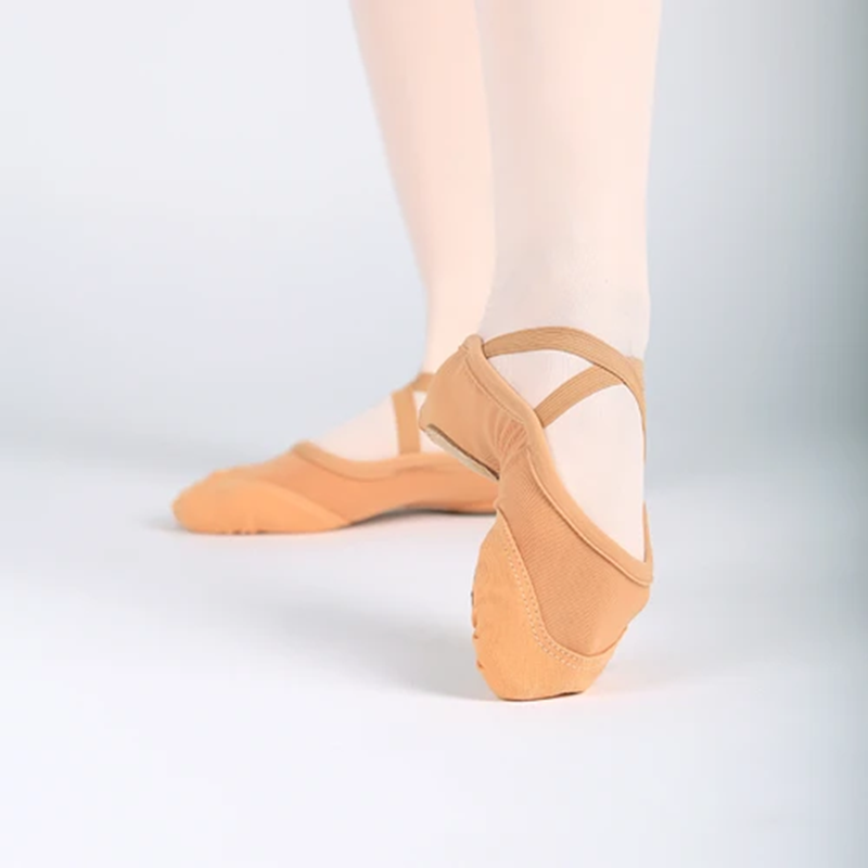 Mesh With Canvas Ballet Shoe