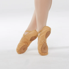 Canvas Ballet Shoe
