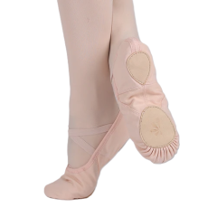 Canvas Ballet Shoes (Multi-color)