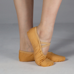 DANCEBUY Canvas Ballet Shoes