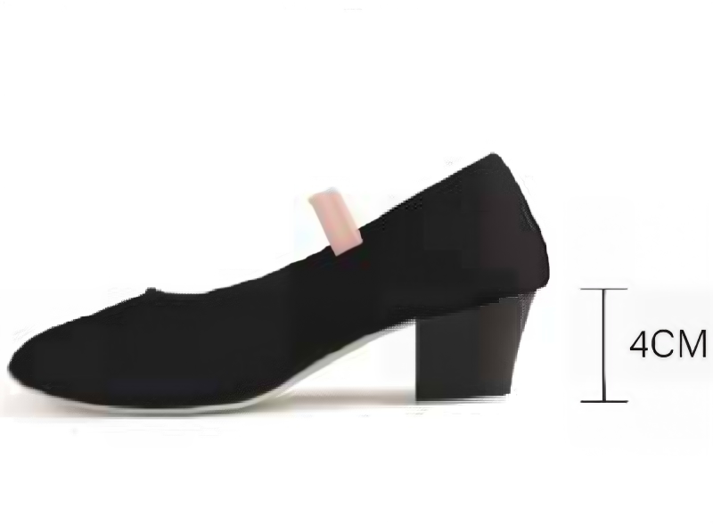 DANCEBUY Character Canvas Character Shoe