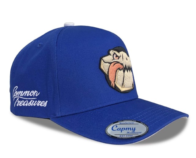 Custom Logo / Design / Label / Colour 5 Panel A Frame Baseball cap Manufacturer