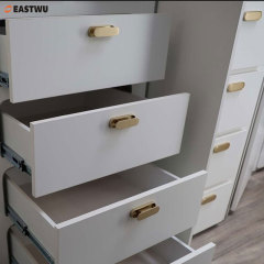 2025 New Arrival Caravan RV Interior Furniture Cupboard Drawer Satin Brass Gold Push Lock and Latches