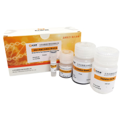 原核生物通用型rRNA去除试剂盒 -V2