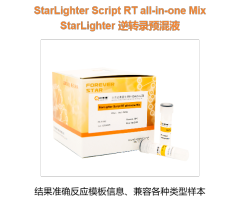 StarLighter 逆转录预混液