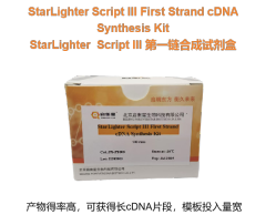 StarLighter Script III First-Strand Synthesis Kit