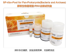 原核生物通用型rRNA去除试剂盒