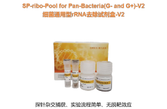 细菌通用型rRNA去除试剂盒 -V2
