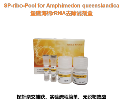 Barrier Reef Sponge rRNA Removal Kit