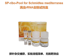 涡虫rRNA去除试剂盒