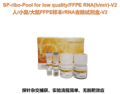 Human/Mouse/Rat FFPE Sample rRNA Removal Kit-V2