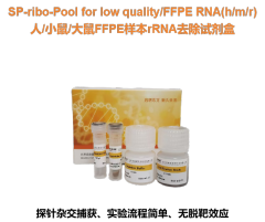 人/小鼠/大鼠FFPE样本rRNA去除试剂盒