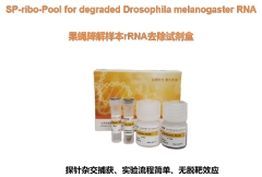 Drosophila rRNA Removal Kit for Degraded Samples