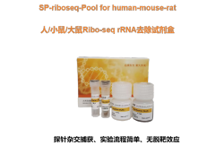 Human/Mouse/Rat Ribo-seq rRNA Depletion Kit