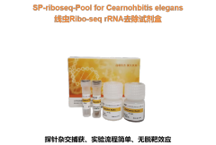 C. elegans Ribo-seq rRNA Removal Kit