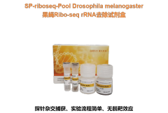 Drosophila Ribo-seq rRNA Removal Kit