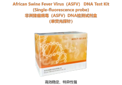African swine fever virus (ASFV) DNA detection kit (single fluorescent probe)