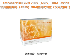 非洲猪瘟病毒（ASFV）DNA检测试剂盒（双荧光探针）