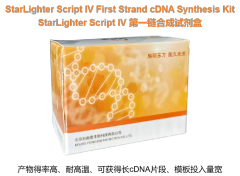 StarLighter Script IV First-Strand Synthesis Kit