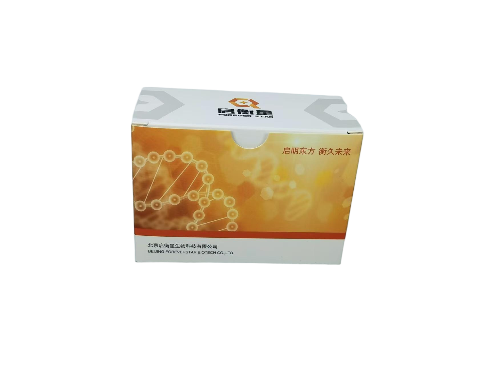 StarRed核酸染料(10000 × )|StarRed Nucleic Acid Gel Stain