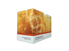 StarPure Gel Recovery Kit (Membrane Column Method)