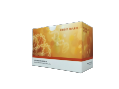 StarPure无内毒素质粒小提试剂盒(膜柱法)