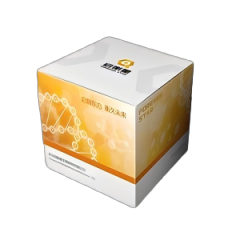 StarLighter Probe qPCR Master Mix (High GC)