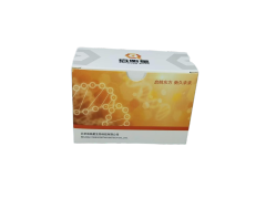 StarLighter Taq Pro 探针法多重 qPCR 预混液（UDG）