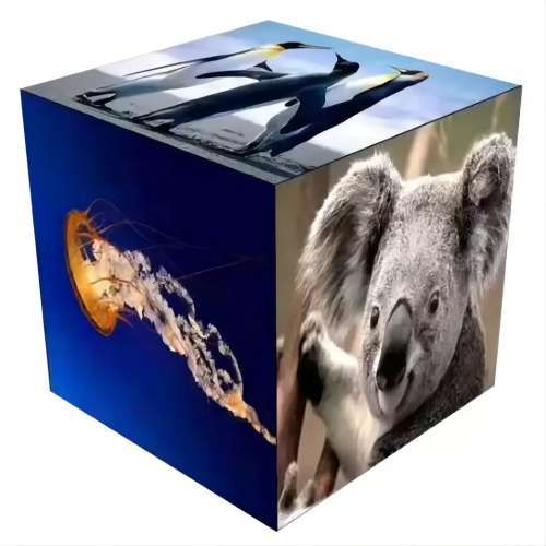 LED display screen for indoor outdoor fixed rental advertising RGBMax