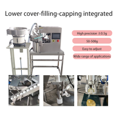 Automatic Stand-up Bag Filling and Sealing Machine