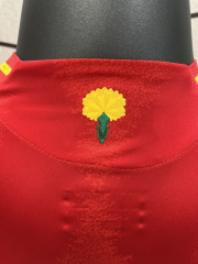 Spain 24-25 Home Jersey - Player Version