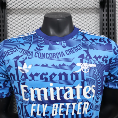 Arsenal 24-25 Special Player Edition Jersey - Player Version