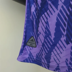 Argentina 2022 World Cup Champion Edition Away Jersey - Player Version