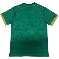 Mexico 2025 Away Jersey - Fans Version