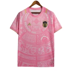 Italy 2024 Special Edition Pink Jersey - Fans Version