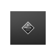FP-16 Tulen